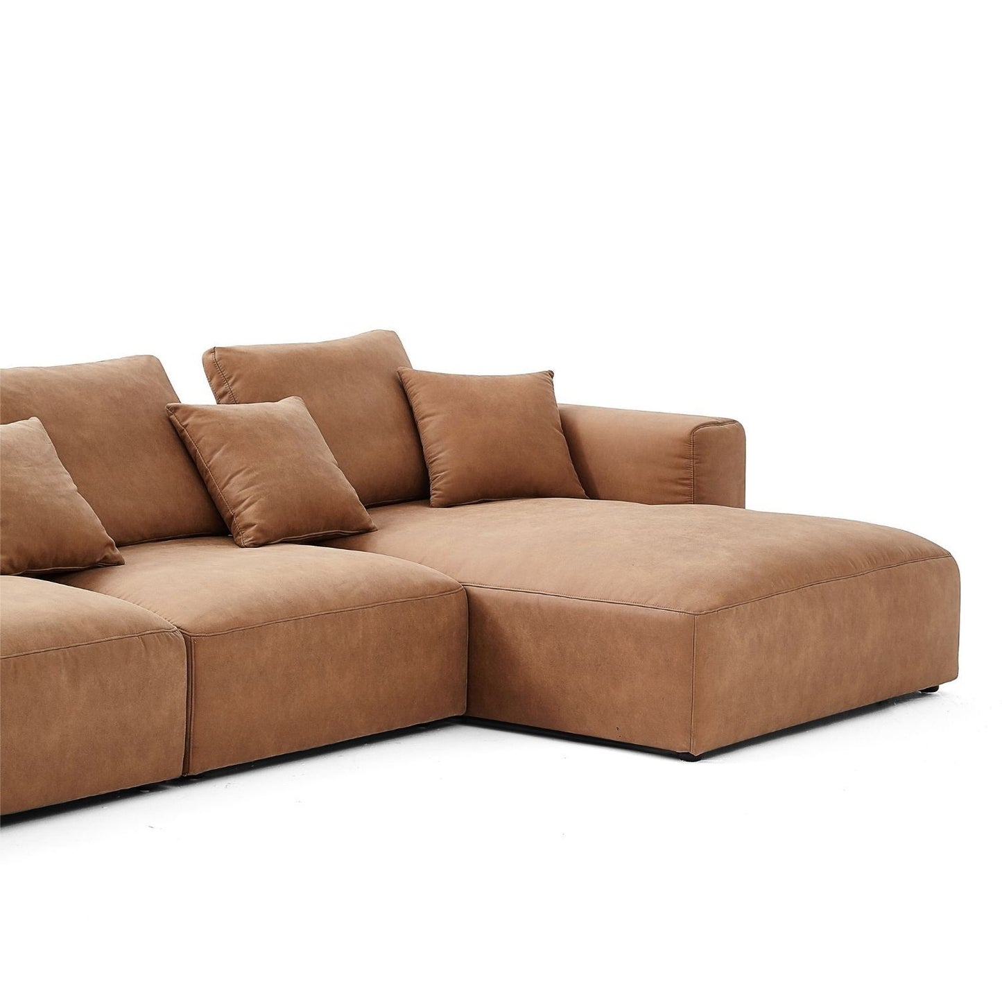 The 5th Open Sectional